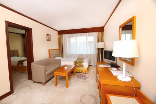 Flower Hotel Ulaanbaatar, Room