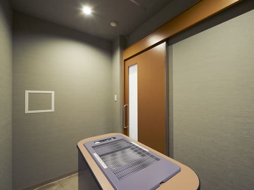 THE POCKET HOTEL Kyoto-Shijokarasuma, 