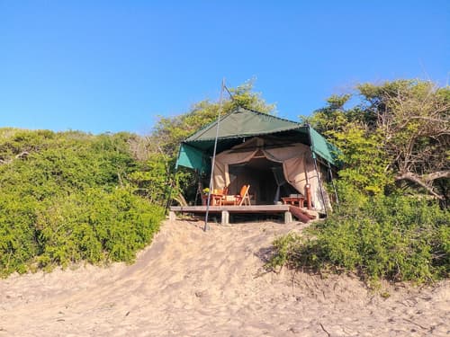 Back of Beyond Dune Camp - Yala, Room