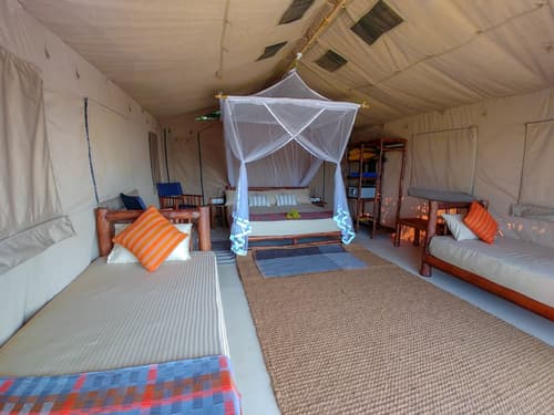 Back of Beyond Dune Camp - Yala, Room