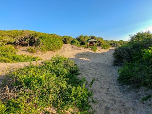 Back of Beyond Dune Camp - Yala, Room