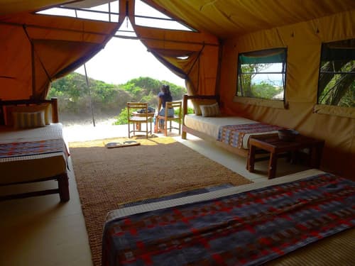 Back of Beyond Dune Camp - Yala, Room
