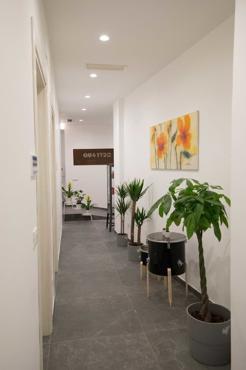 Quattro Briganti, Reception