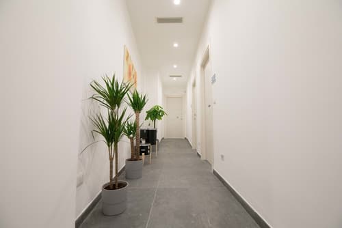 Quattro Briganti, Reception