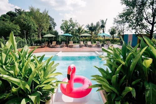 The Pineapple Hotel, Room