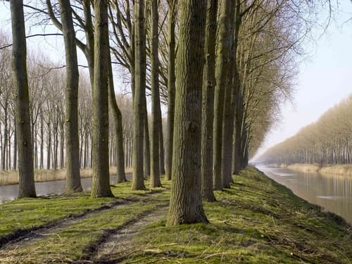 ibis budget Knokke, Property grounds