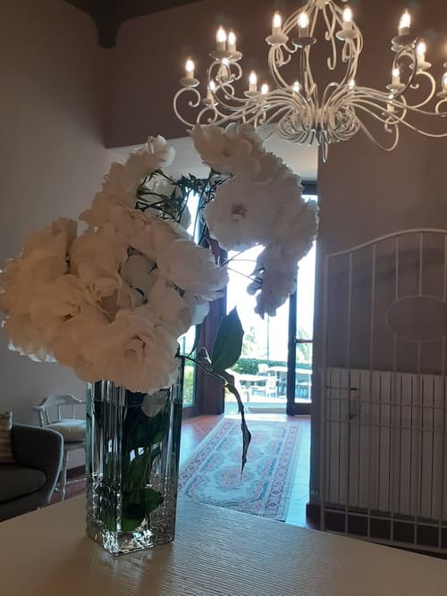 Hotel le Macine, Reception