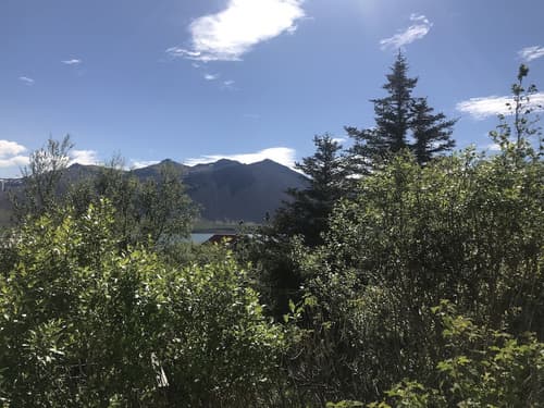 Private and peaceful one room apartments, Garden