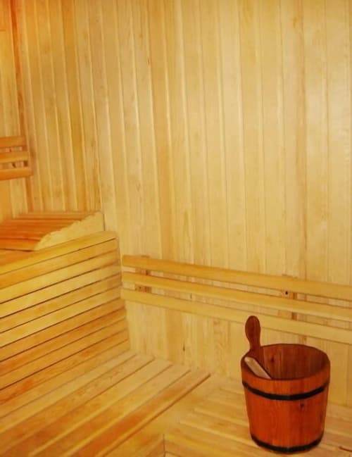 Falcon Hills Hotel, Sauna