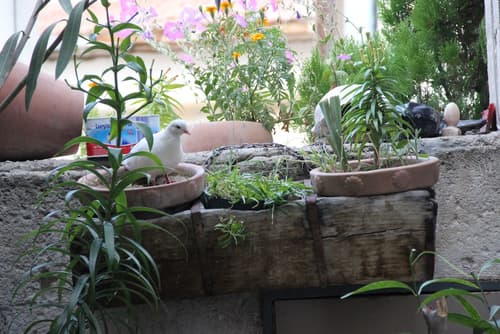 Kismet Cave House, Interior