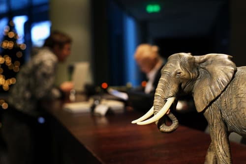 Rixwell Elefant Hotel, Reception