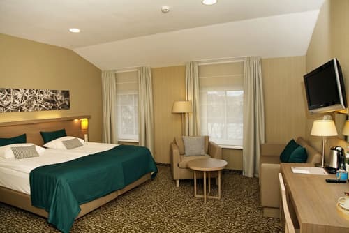City Hotels Algirdas, Room