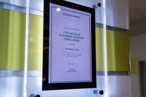 The Wesley Euston, Reception