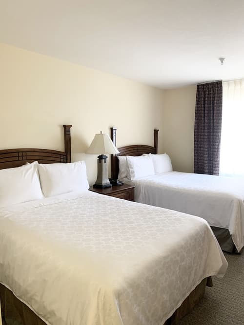 Staybridge Suites Albuquerque - Airport by IHG, Room