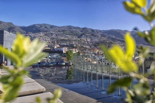 The Vine, Primary image