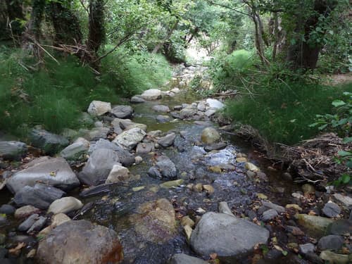 Adonis Hotel Naxos, Gym