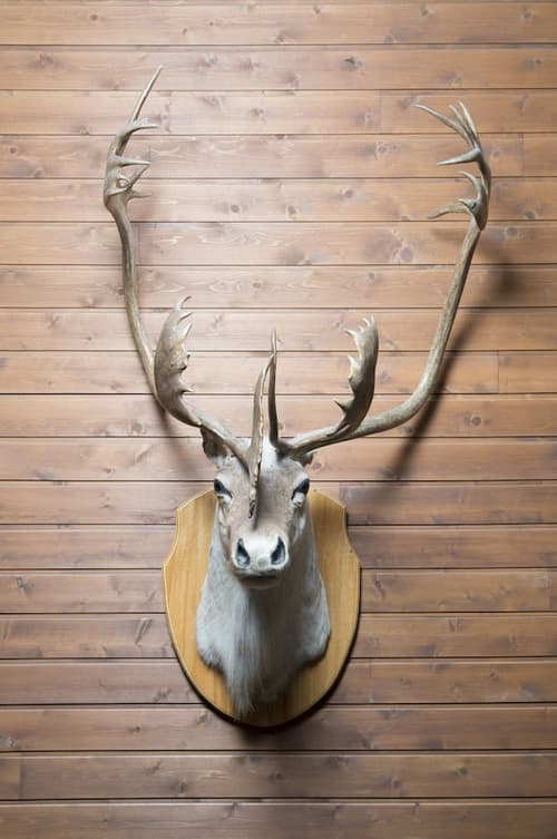 Hôtel-Musée Premières Nations, Interior entrance