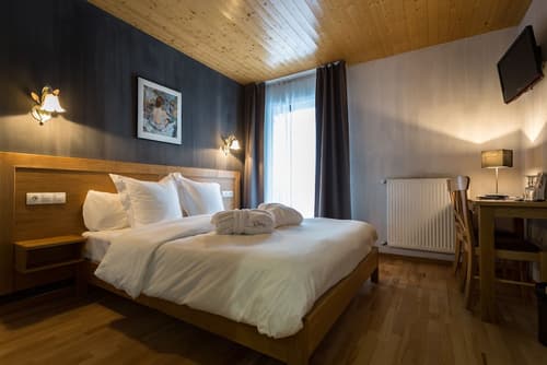 Hotel Llop Gris, Room