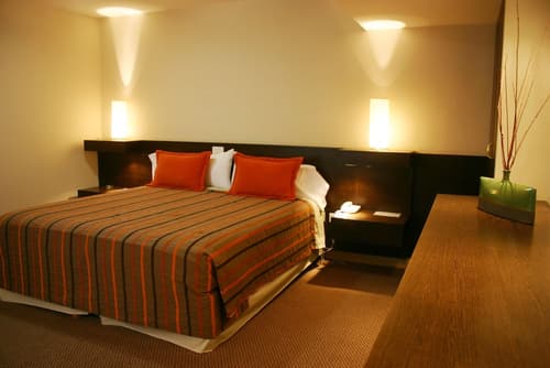 Cordon del Plata, Primary image