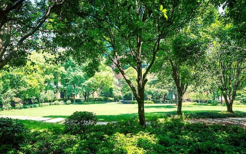 Pullman Shanghai Central-in XinTianDi & Yu Garden Area, Garden