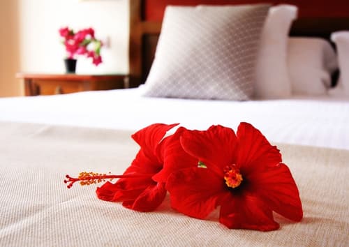 Hotel Rural Finca de la Florida, Room