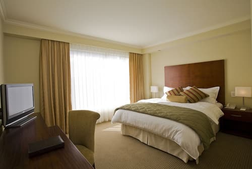 Hotel Stubel Suites and Cafe, Room