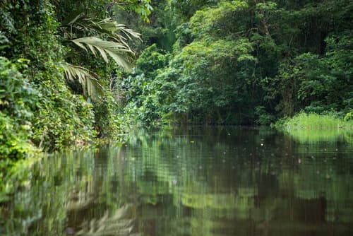 Pachira Lodge, Boating