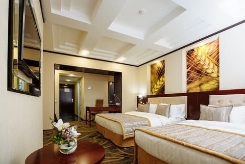 Hotel Kazzhol Almaty, Room