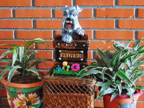 Casa Lima Bed & Breakfast, Lobby