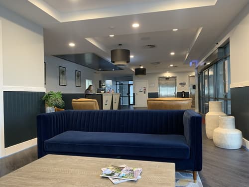 The Palmer Collective, Reception