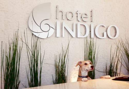 Hotel Indigo San Diego-Gaslamp Quarter by IHG, Reception