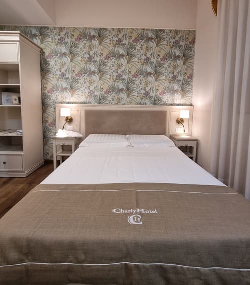 Charly Hotel, Room