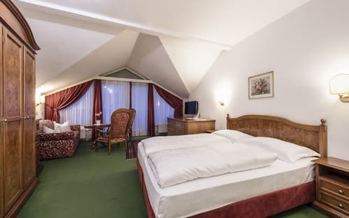 GrünerBaum Hotels, Room