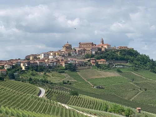 Red Wine - Guest House, Hiking