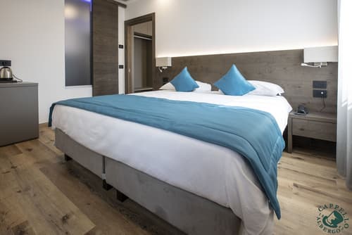 Albergo Cappello e Cadore, Room