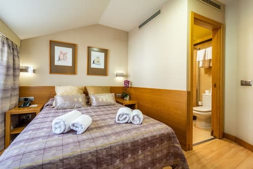 Windsor Puerta del Sol, Room