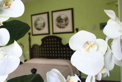 Hotel dei Coloniali, Room