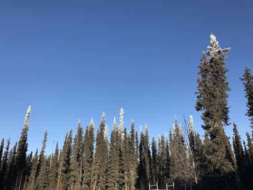 A Hyde Away Inn B&B, Exterior