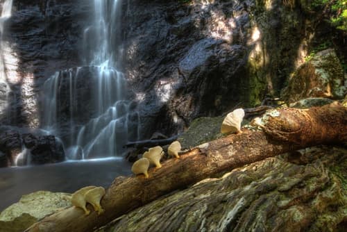 Binna Burra Sky Lodges, Spa