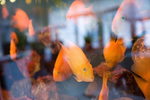 Parkhotel and Congress Center Pilsen, Interior entrance