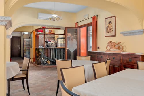 Il Nuovo Gabbiano, Reception