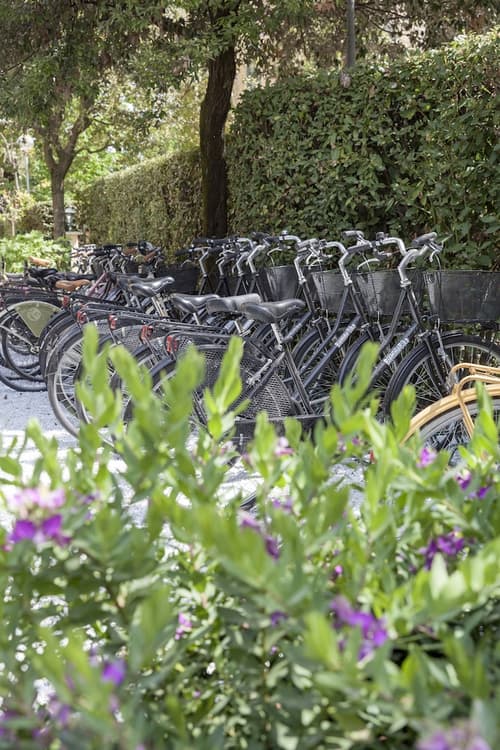 Hotel Franceschi, Bicycling