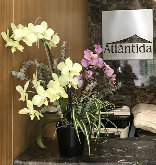 Apartamentos Turisticos Atlantida, Reception