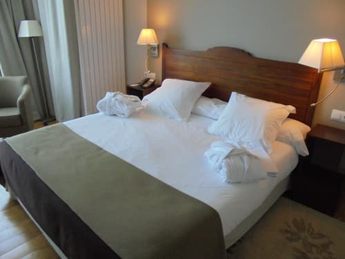 Parador De Argomaniz, Room