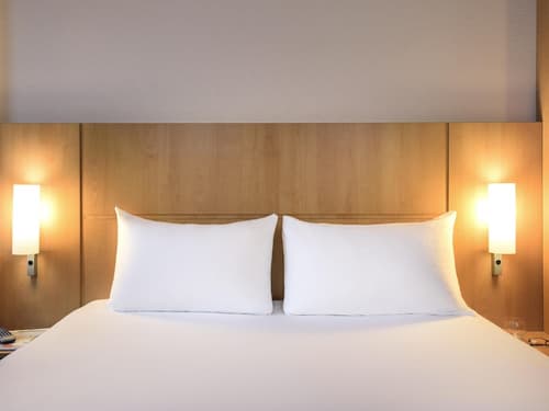 ibis Karlsruhe Hauptbahnhof, Room