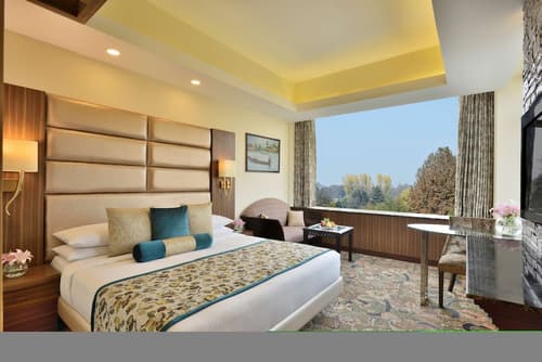 Radisson Srinagar, 