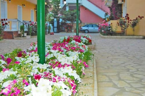 Complex Lemon Grove, Property grounds