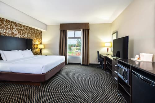 Quality Inn and Suites Petawawa, Room