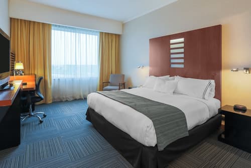 Hotel MDS Concepción, Room