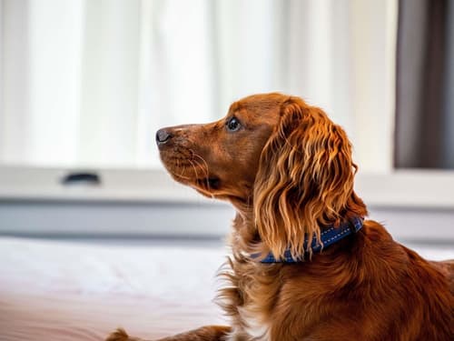 Ibis Styles Glasgow Central, Room